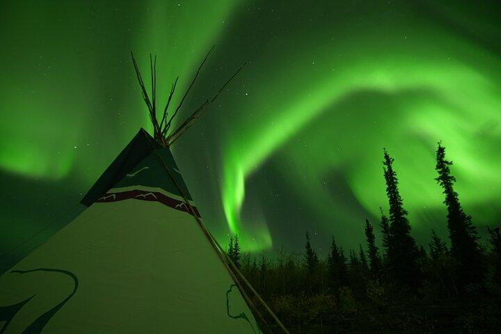 Scopri Whitehorse con Northern Lights e Yukon Wildlife Tour