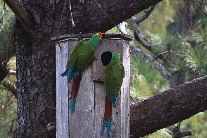 Visita il Santuario degli Ara in natura