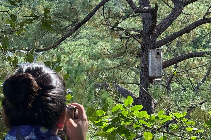 Visita il Santuario degli Ara in natura