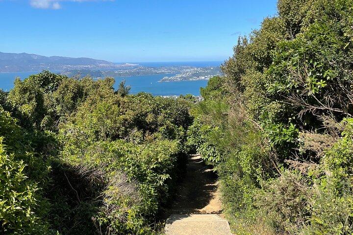 Wellington: Wild Skyline Guided Hiking Tour, Transfers + Almoço