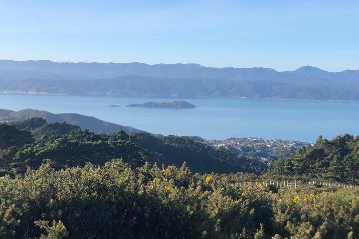 Wellington: Wild Skyline Guided Hiking Tour, Transfers + Almoço