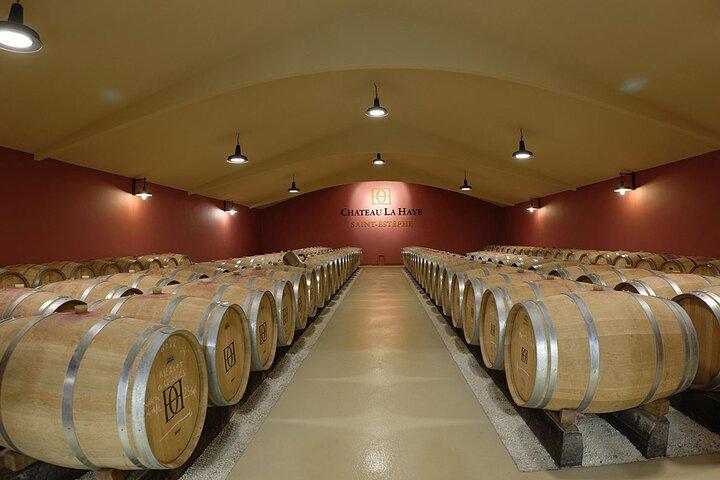 Wine Tour Médoc a estrada do castelo, visitas e sabores