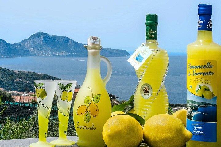 Tour a Positano e Sorrento da Salerno