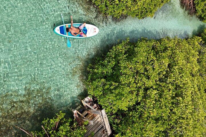 Tour privado de snorkel en aguas vibrantes y manglares serenos de Aruba
