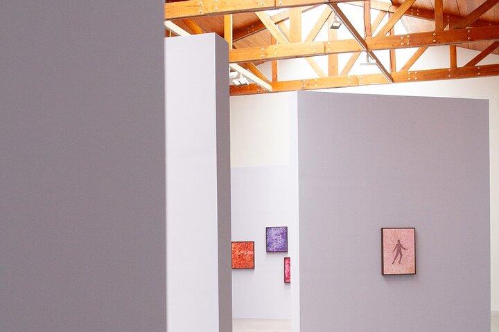 Contemporary Art Galleries Tour in Mexico City with Expert Guides