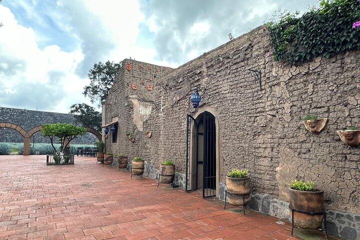Secretos en Los Altos del Tequila