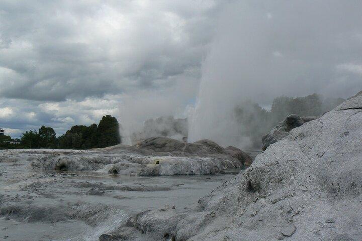 Tauranga Shore Excursion: Rotorua Highlights