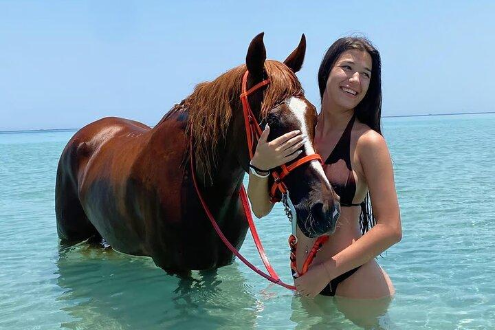 Hestetur på ørkenen og havet fra Hurghada