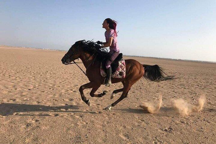 Hestetur på ørkenen og havet fra Hurghada