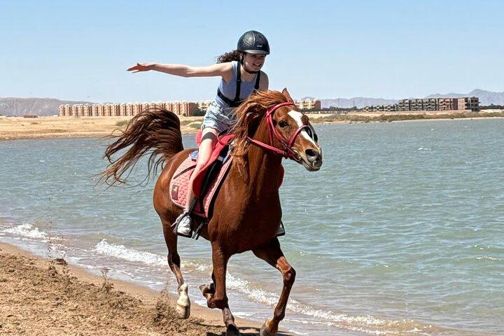 Hestetur på ørkenen og havet fra Hurghada