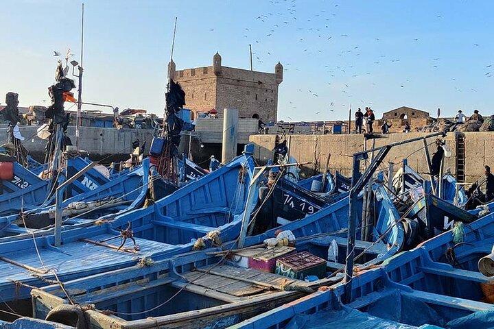 Day trip Essaouira Wind City of Africa Tour