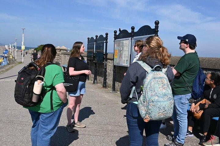 Private Dublin (Dun Laoghaire) Top-bewertete Küstenwanderung