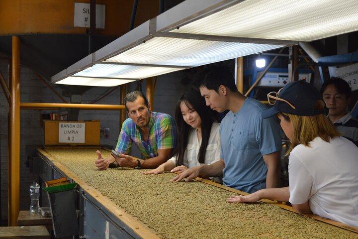Signature Coffee Tour : Maalproces, Cupping & Alquimia Café