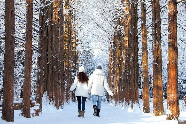 Nami Island, Petite Frankrike & Jordgubbsvintertur från Seoul