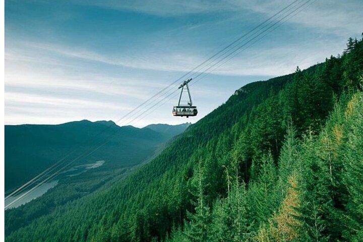 Privat halvdagstur til Sky Gondola og Shannon Falls