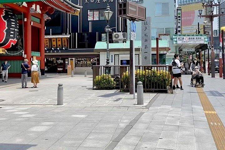 Tokyo og Yokohama Private Tour med guide