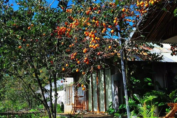 DA Lat Dawn Adventure: Montanhas, Nuvens e Natureza