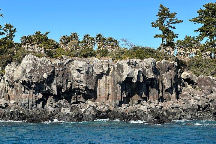 Privat tur i South Jeju, herunder Yacht, Falls & Mt.Halla