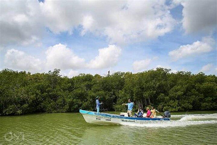 Riserva della biosfera di Can Gio Mangrove