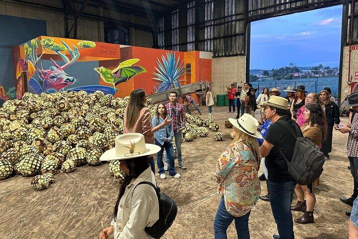Secretos en Los Altos del Tequila
