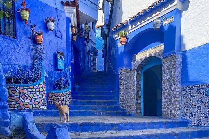 Excursión de un día a Blue City con guía local y transporte