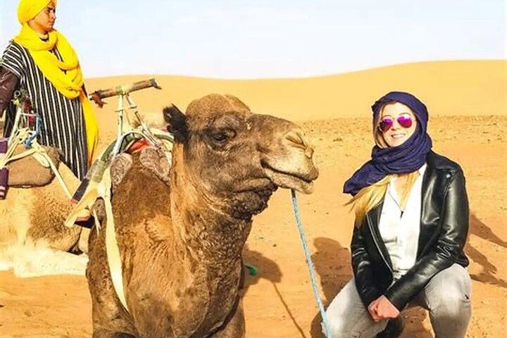 Agafay Desert Dinner Experience with Buggy or Camel Ride