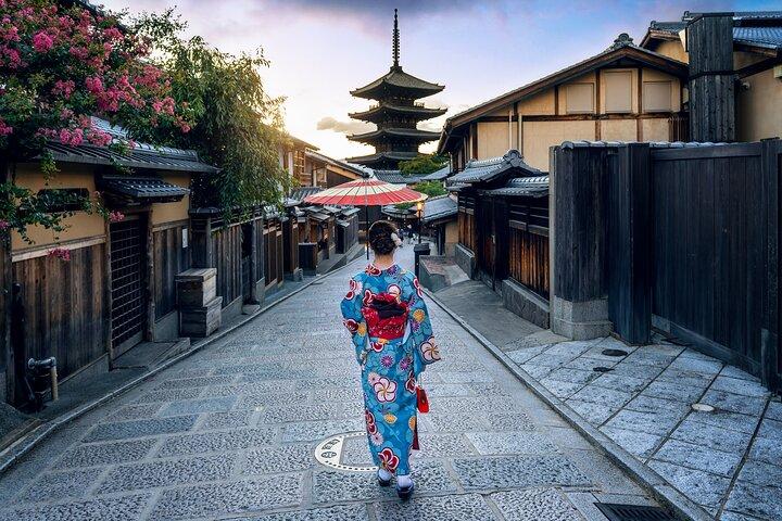 1 jour Kyoto Timeless Beauty Tour Temples et Geisha District