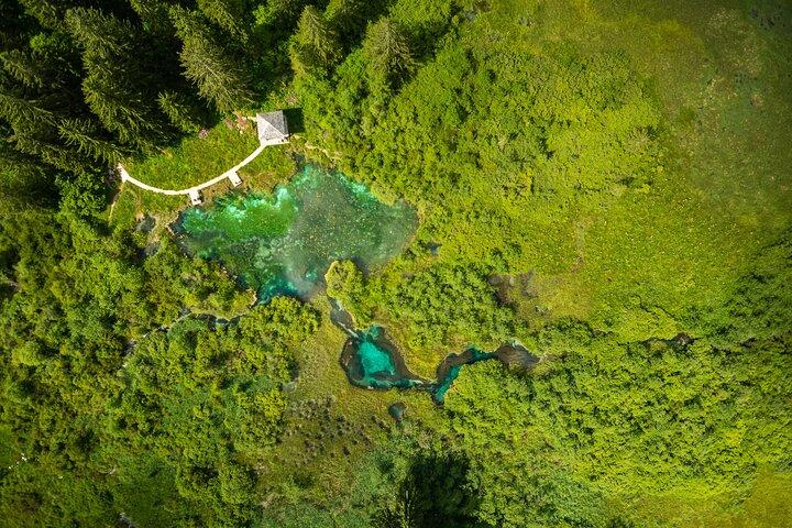 ウェスト・トリグラフ国立公園アドベンチャー-ブレッド発半日観光