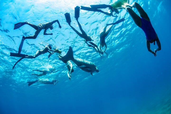 ウミガメ マルサ・ムバラク シュノーケリングとボートの旅 マルサ・アラム