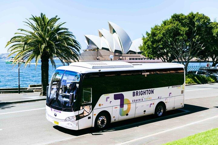 Halvdagstur til Sydney Rocks og Bondi Beach City