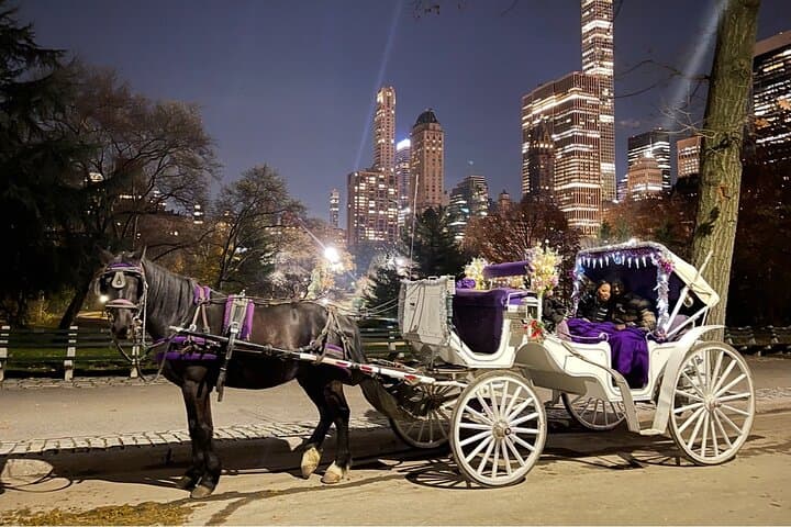 Amazing Horse and Carriage Rockefeller and Christmas lights tour
