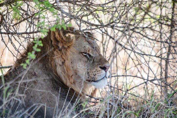 Tsavo East Private 3 - Dagstur