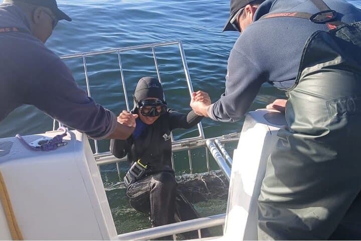 Shark Cage Diving Adventure CAPE TOWN(Lunch & Transport included)