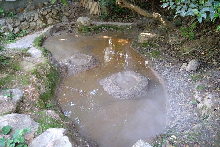 Tour privato di Beppu Hell in auto