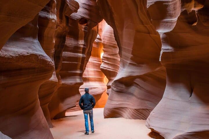 Lower Antelope Canyon and Horseshoe Bend Day Tour with Lunch