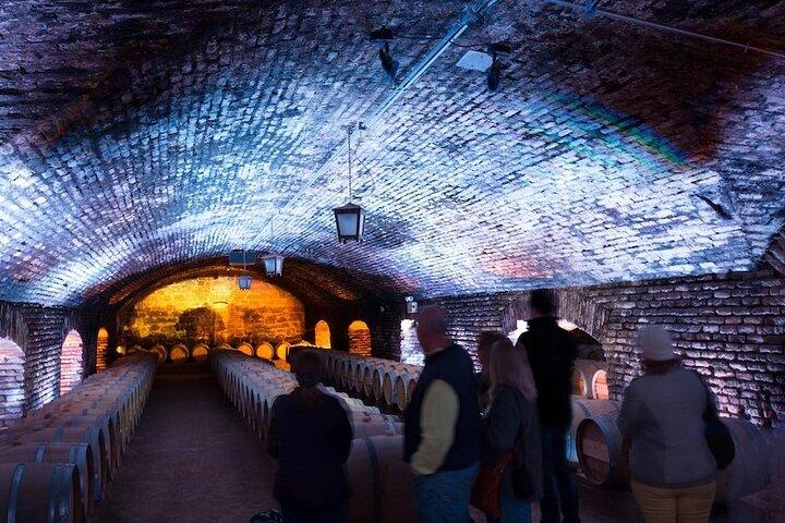Casillero del Diablo Night Experience – källare, vin & middag