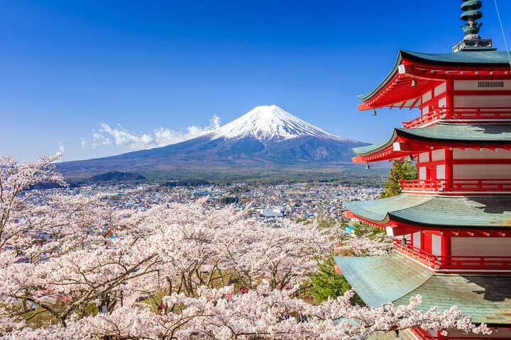 Mount Fuji Kawagoe and Hikawa Shrine Day Trip