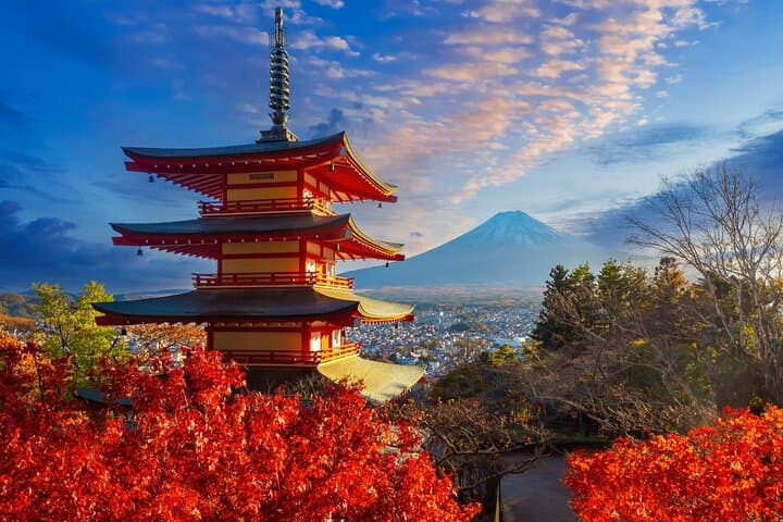 Mount Fuji Kawagoe and Hikawa Shrine Day Trip