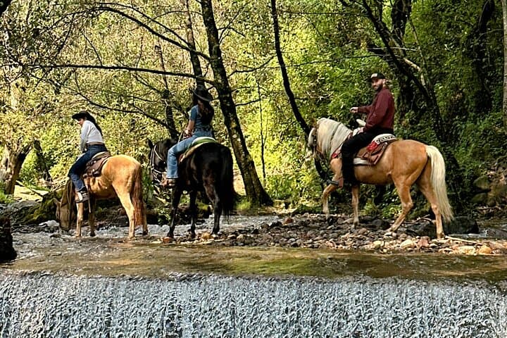 Exclusive Horseback Ride w/ Mexican Charros Family in México City