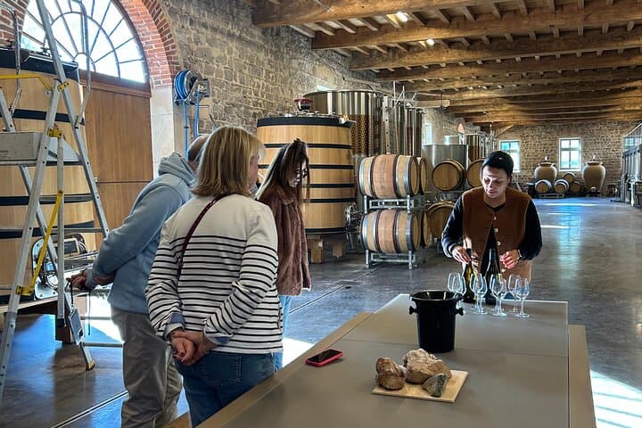From Lyon: Private wine tour of Beaujolais all inclusive
