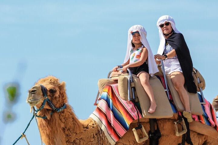 UTV Side by Side Experience and Camel Ride in Los Cabos