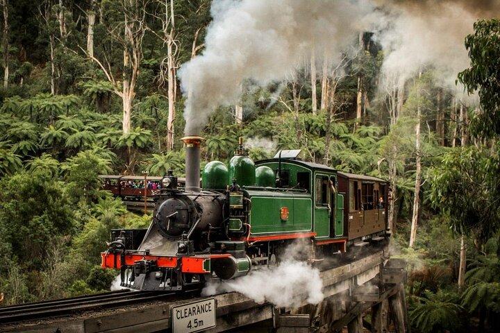Privat Puffing Billy Ångtåg och Healesville Sanctuary Tours