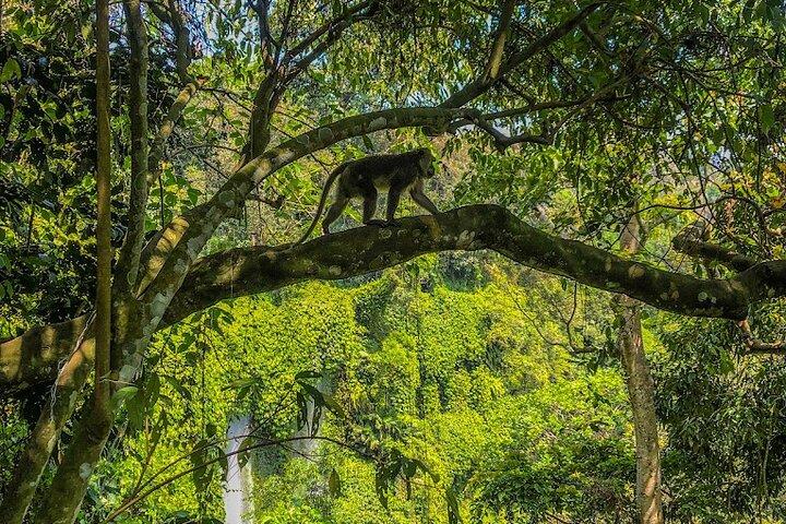 Excursão Lombok Sendang Gile e Tiu Kelep Waterfall