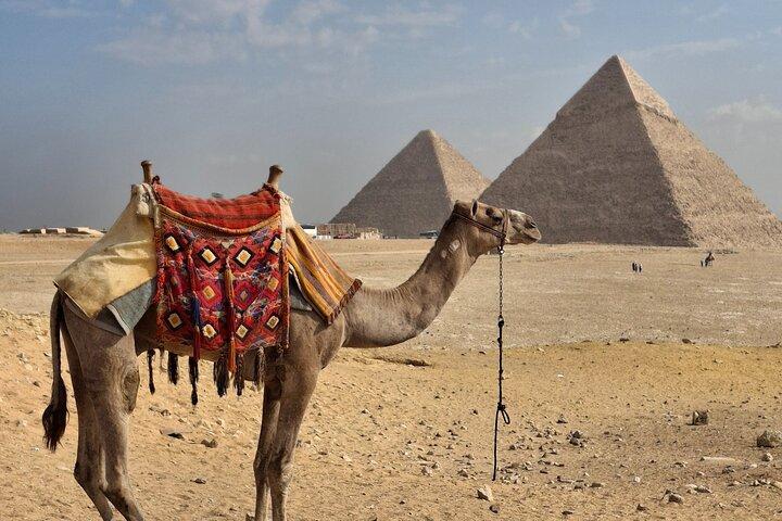 Privétour naar het Grand Egyptian Museum en de piramides