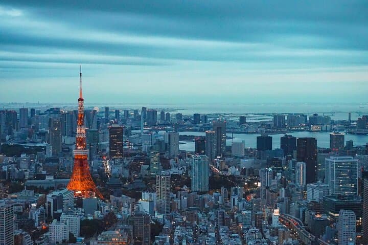 Private and Customisable Tokyo Tour with English-Speaking Driver
