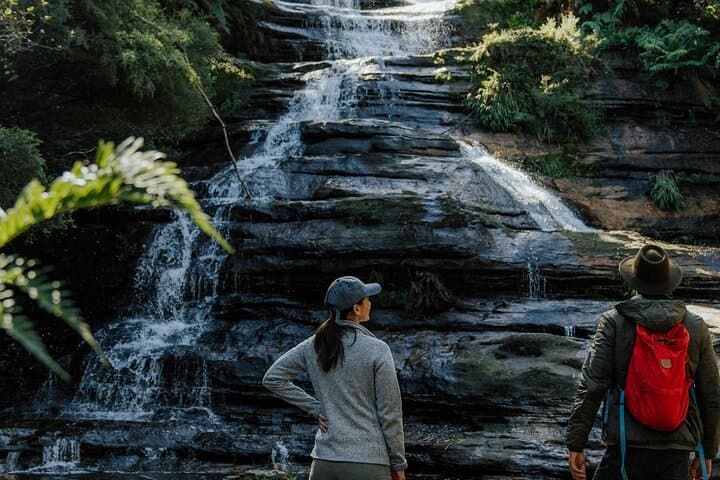 Blue Mountains Deluxe Small Group Half or Full Day Discovery Tour