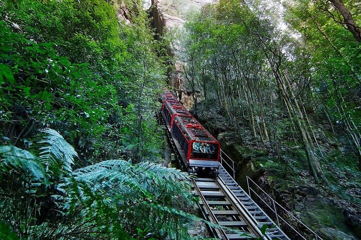 Blue Mountains Deluxe Small Group Half or Full Day Discovery Tour