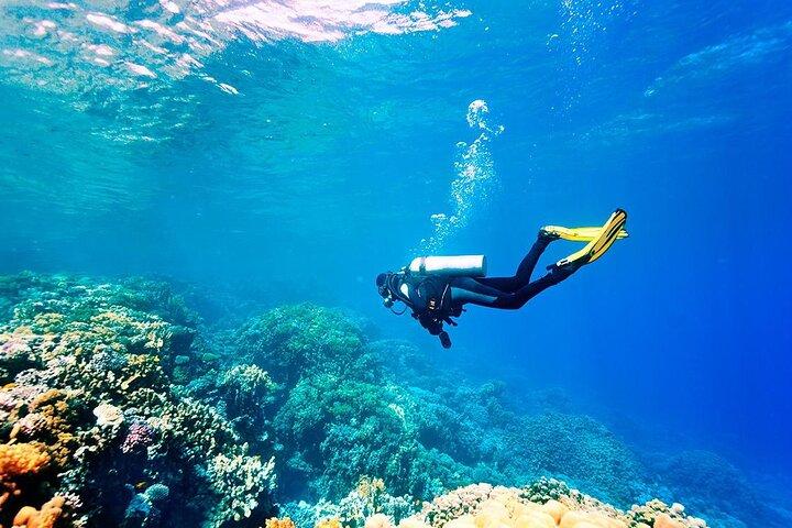 Alanya Scuba Diving per principianti con pranzo e trasferimenti