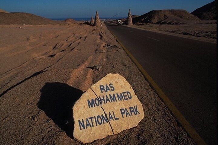 Busstur till Ras Mohammed nationalpark – Sharm El Sheikh