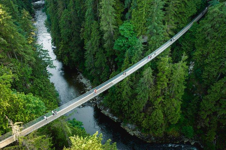Capilano Suspension Brid, Lynn Canyon Park + 4 altre attrazioni Tour